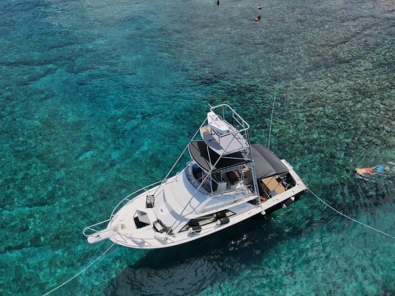Naha Departure: Half-Day Fishing Tour for Beginners - At a glance