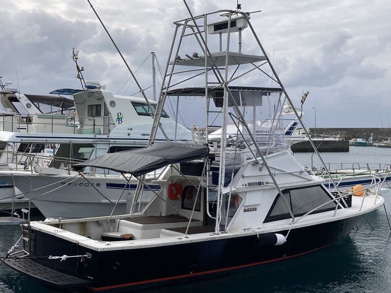 Naha Departure: Half-Day Fishing Tour for Beginners - Fishing off Naha, without needing experience