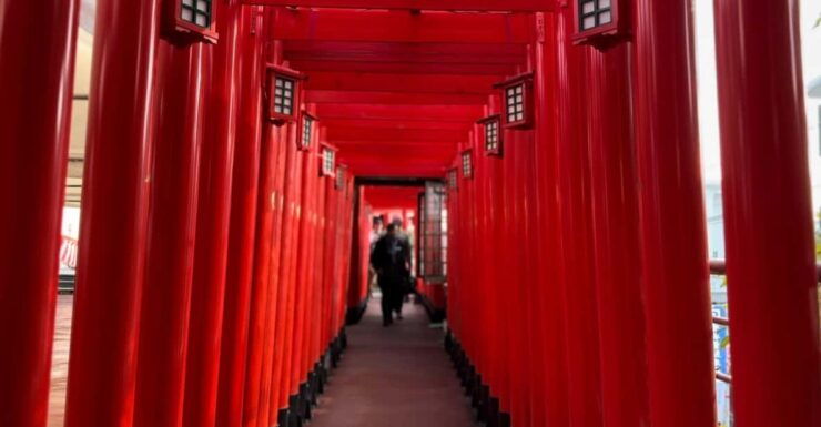 Naha: Guided E-Bike Tour of the 12 Zodiac Temples - Cultural Significance of the Temples