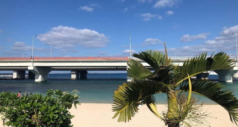 Naha: Guided Walking Tour with Street Food Tastings - FAQ