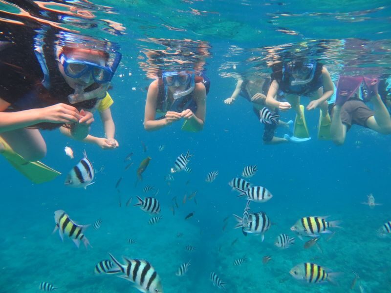 Naha Kerama Half Day Snorkeling (Pickup service included) - Beginner support and safety rules