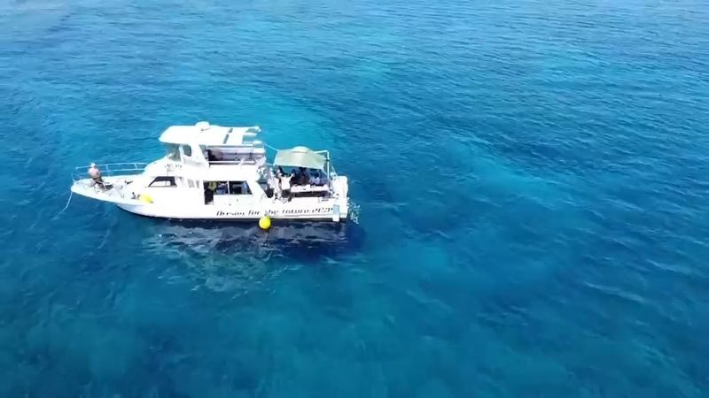 Naha Okinawa 3-Hour Fishing Experience with Local Experts - At a glance