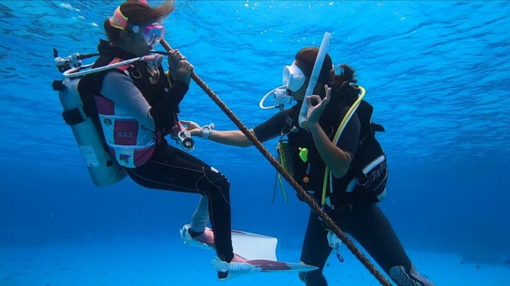 Naha, Okinawa: Kerama Islands Full-Day Intro-Diving Trip - Activity Overview