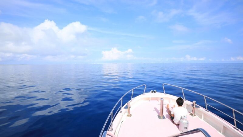 Naha, Okinawa: Kerama Islands Half-Day Whale Watching Tour - The Itinerary and What to Expect