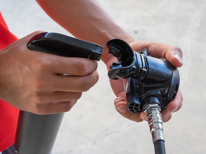 Naha, Okinawa: Kerama Islands Half-Day Whale Watching Tour - Who Will Love This Tour?