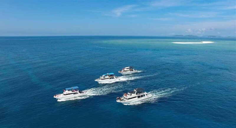 Naha, Okinawa: Kerama Islands Half-Day Whale Watching Tour - Convenient Logistics and Accessibility