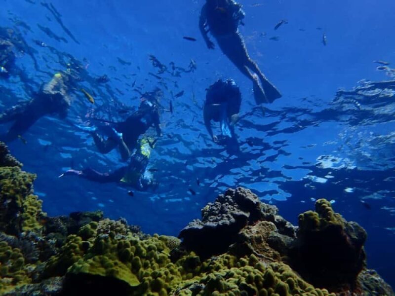Naha: Tokashiki Day Trip & Kerama Islands Scuba Diving Trip - An In-Depth Look at the Experience