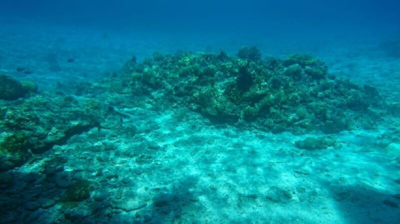 Naha: Tokashiki Day Trip & Kerama Islands Scuba Diving Trip - Exploring the Itinerary: What You Can Expect