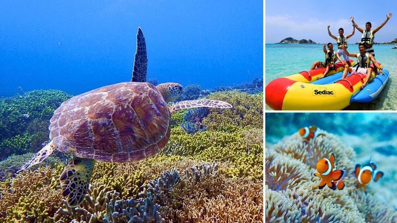 Naha Tokashiki Island Beach One-Day Experience - A ferry ride to the Kerama blue