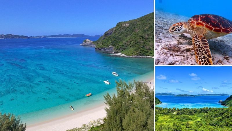Naha Tokashiki Island Beach One-Day Experience - Who this island day suits