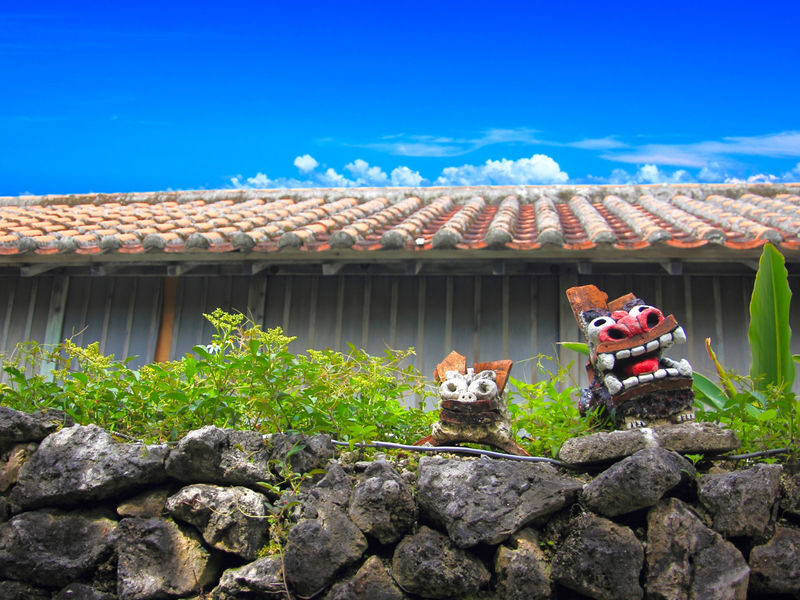 Naha Tokashiki Island Full-Day Tour with Lunch - What the price covers, and what it does not
