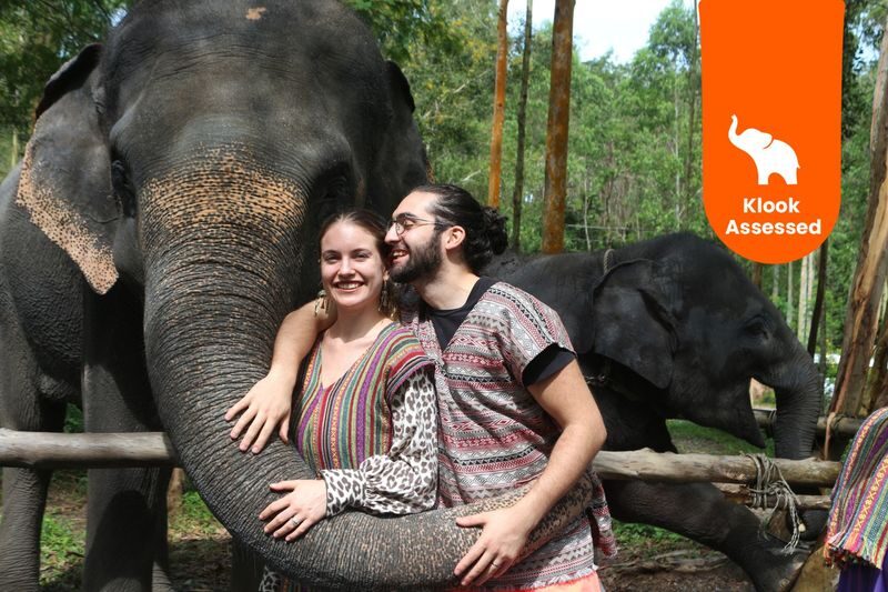 Naidee Elephant Care Park Experience in Phuket - Naidee at a glance