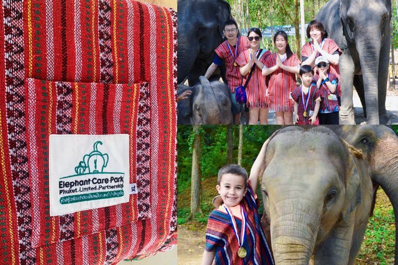 Naidee Elephant Care Park Experience in Phuket - Feeding elephants is the heart of the visit