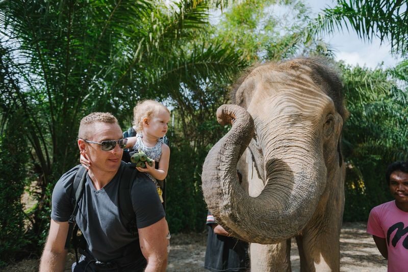 Naidee Elephant Care Park Experience in Phuket - Basic or full: choose the right amount of elephant time
