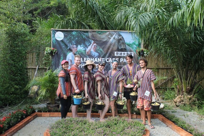 Naidee Elephant Care Park Experience in Phuket - How the short schedule affects value