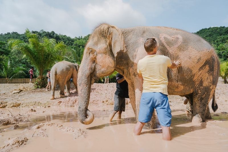 Naidee Elephant Care Park Experience in Phuket - Getting there, transfers, and what to pack