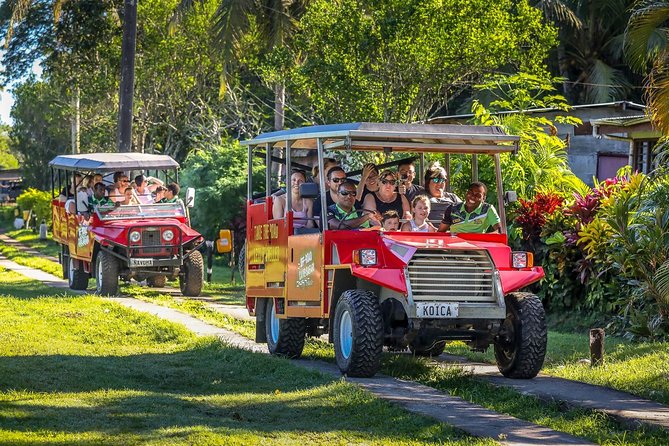 Naihehe Cave Safari in Sigatoka With BBQ Lunch - Pricing and Booking Details