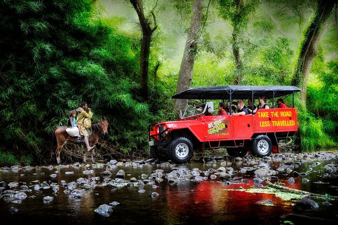 Naihehe Cave Safari in Sigatoka With BBQ Lunch - Cancellation Policy and Flexibility