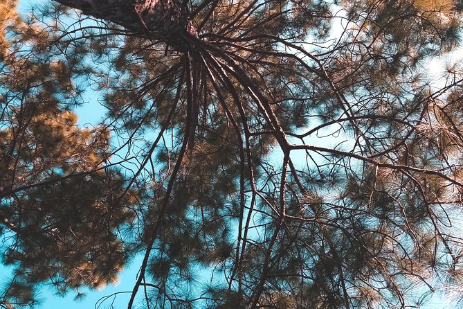 Nainital Cool Weekend Heaven From Delhi - Transportation Information