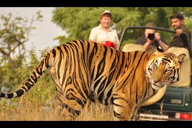 Nainital Jim Corbett 4 Days Tour Package From Delhi - Additional Services Provided