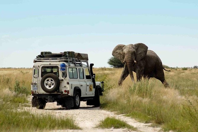 Nainital Jim Corbett 4 Days Tour Package From Delhi - Pricing Information