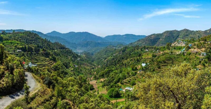 Nainital Nature Trekking Experience (4 Hours Experience) - The Sum Up  
