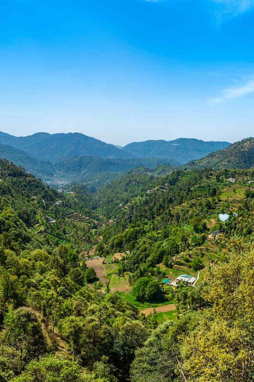 Nainital Walking Tour (2 Hours Guided Walking Tour) - FAQ