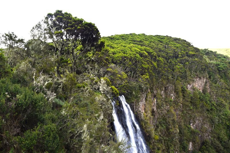 Nairobi 2-Day Aberdare Camping Safari: Waterfalls & Wilderness - Should you book the Aberdare camping safari?