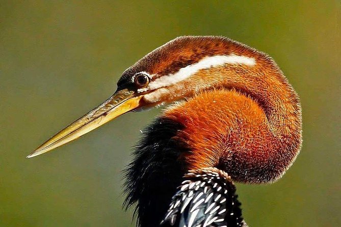 Nairobi 3 Museums and Bomas of Kenya Day Tour. - The Sum Up