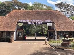 Nairobi 3 Wildlife Spots Full-Day Small Group Discovery - Nairobi National Park: the central wildlife stop