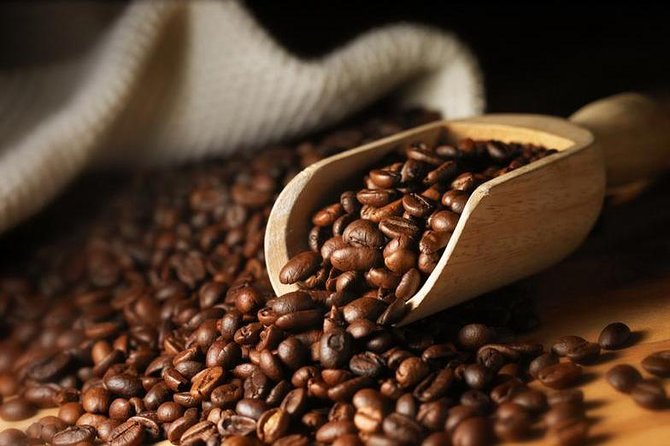 Nairobi Day Tour to the Coffee Farm - Inclusions and Expectations