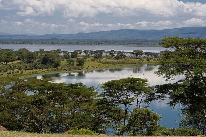 Nairobi Day Trip To Crescent Island Game Park - Lake Naivasha - Wildlife Encounters