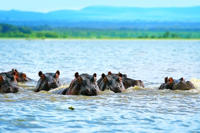Nairobi Day Trip To Crescent Island Game Park - Lake Naivasha - Scenic Boat Ride