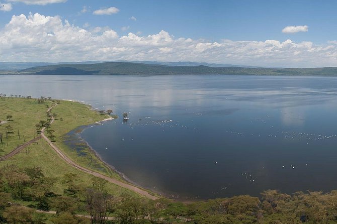 Nairobi Day Trip To Crescent Island Game Park - Lake Naivasha - Optional Activities