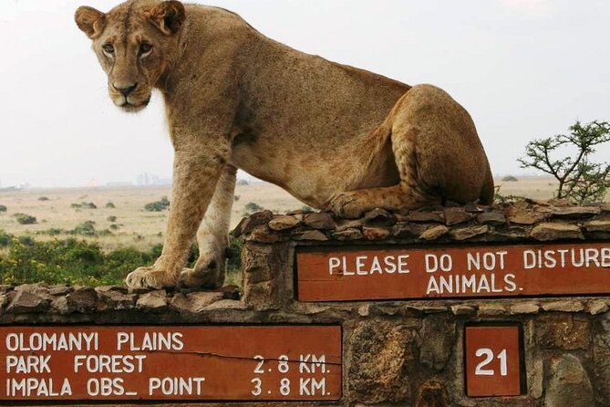 Nairobi Full Day Adventure Tour With Professional Driver Guide - Good To Know