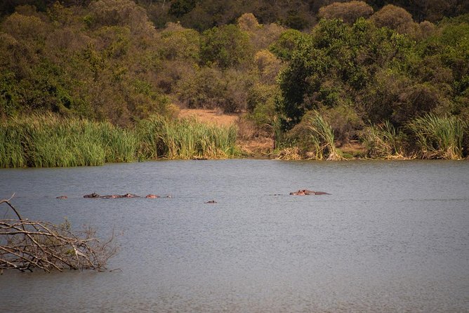 Nairobi Half Day Top Tour Attractions for Travellers - Giraffe Centre