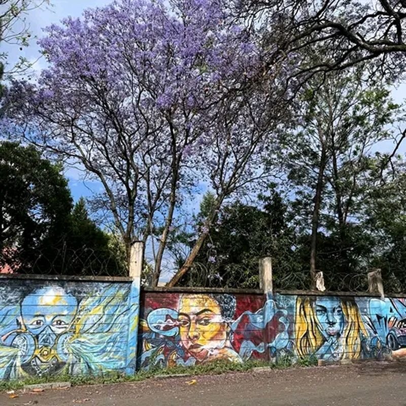 Nairobi Kibera Half-Day Historical Experience - A walking tour built around local context