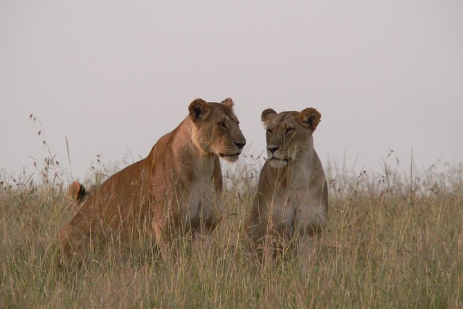 Nairobi Layover - Layover in Nairobi