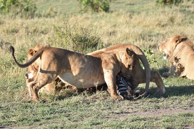 Nairobi Layover - Cancellation Policy and Price Details