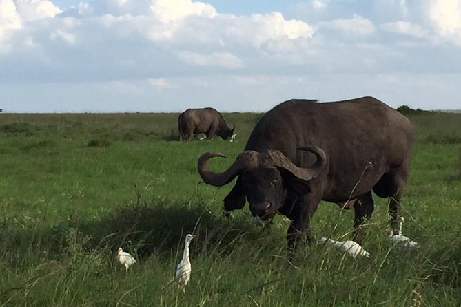 Nairobi Layover - Frequently Asked Questions