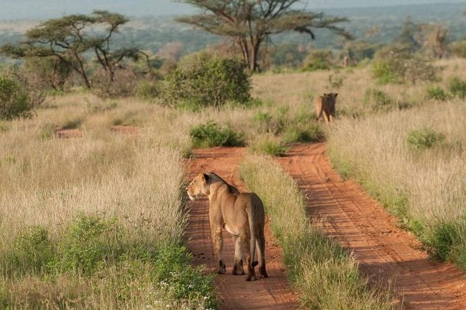 Nairobi Nat Park,Sheldrick Elephant Giraffe Centre&Karen Blixen - Frequently Asked Questions