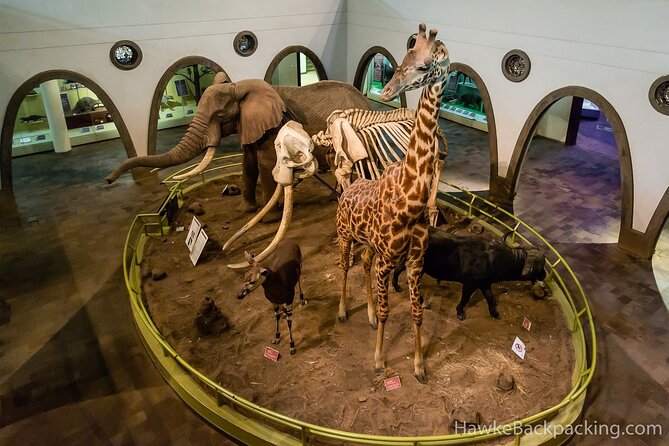 Nairobi National Museum and Snake Park Guided Day Tour - Payment and Cancellation Policy