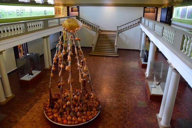 Nairobi National Museum and Snake Park Guided Tour - Good To Know