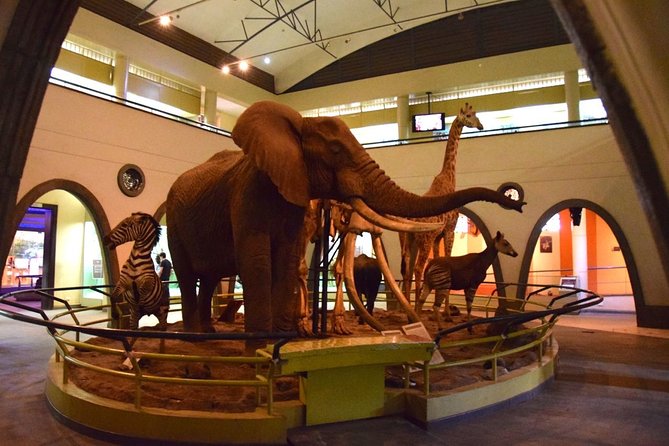 Nairobi National Museum and Snake Park Guided Tour - Location Details