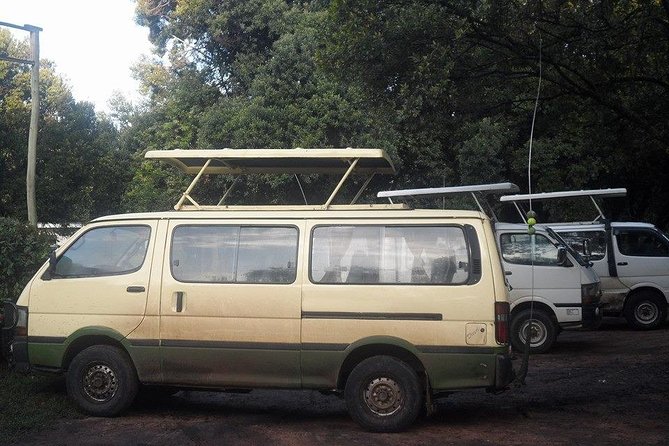 Nairobi National Park 1.p.m Game Drive - Special Vehicle Features for Optimal Viewing