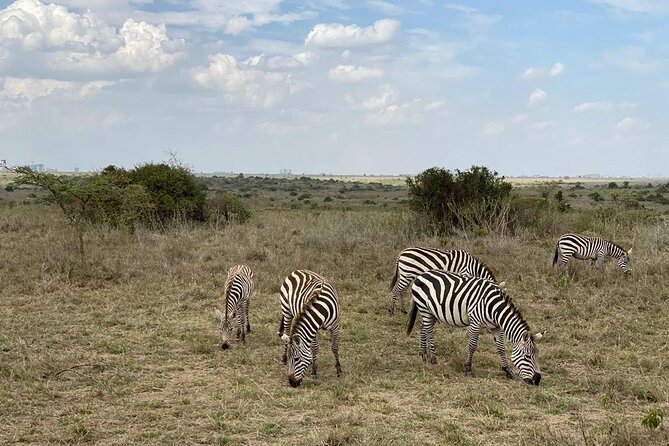 Nairobi National Park and Giraffe Center - Frequently Asked Questions