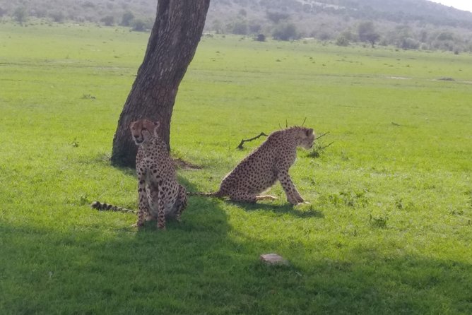 Nairobi National Park - Good To Know