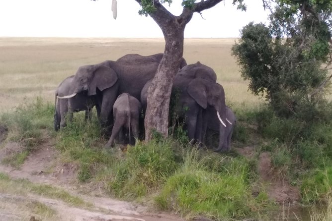 Nairobi National Park - Cancellation Policy
