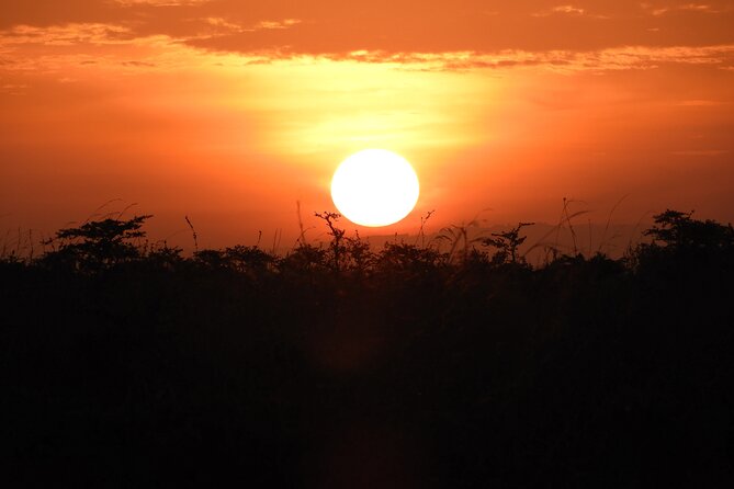 Nairobi National Park Drive & Giraffe Centre - Frequently Asked Questions