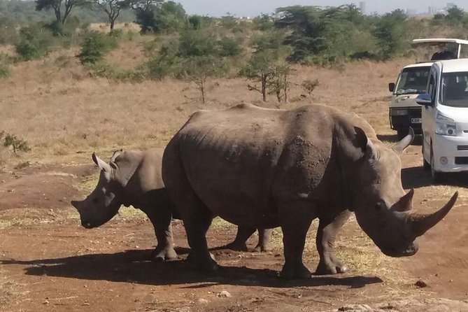Nairobi National Park, Elephant Orphanage, Giraffe Centre,Karen Blixen Day Tour - Inclusions and Exclusions